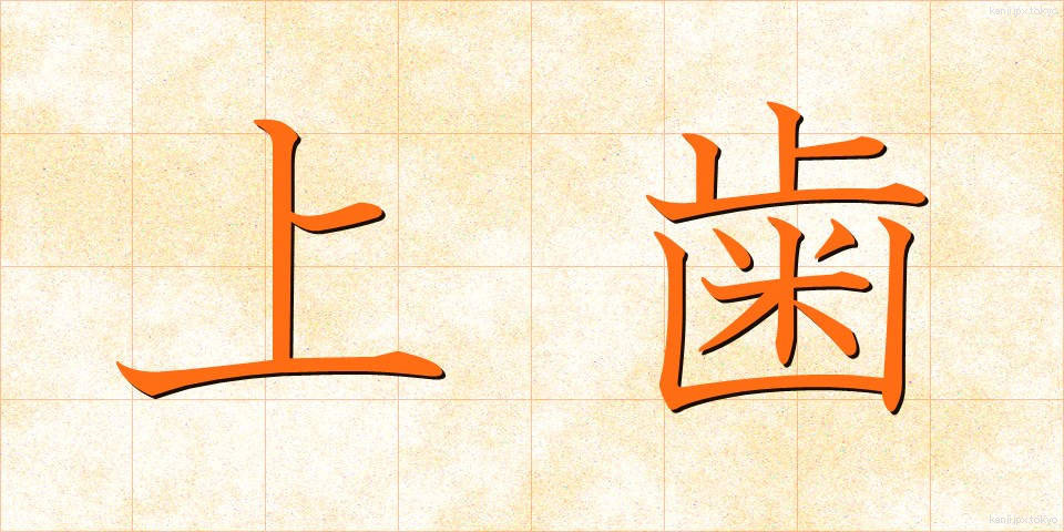 上歯 (じょうし)