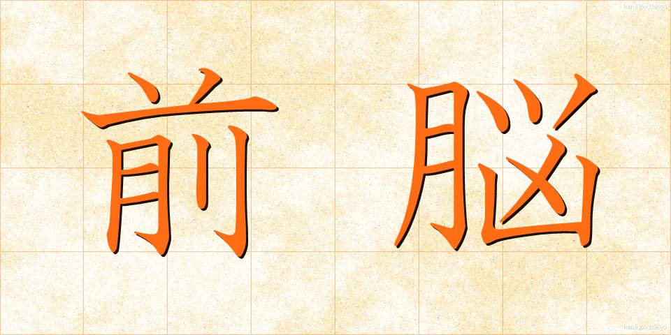 前脳 (ぜんのう)