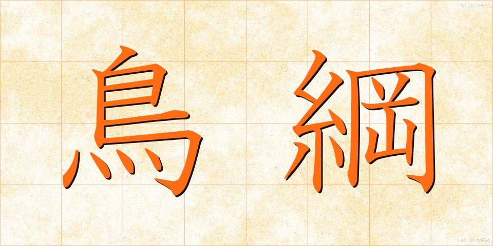 鳥綱 (ちょうこう)