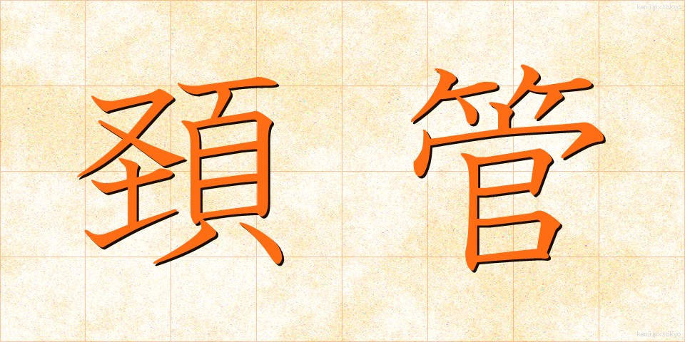 頚管 (けいかん)