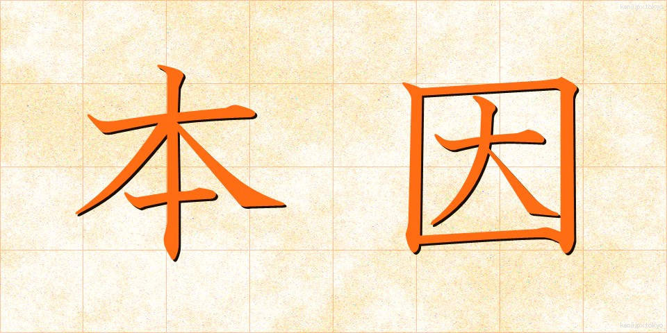 本因 (ほんいん)