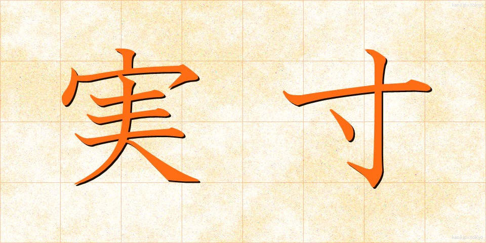 実寸 (じっすん)