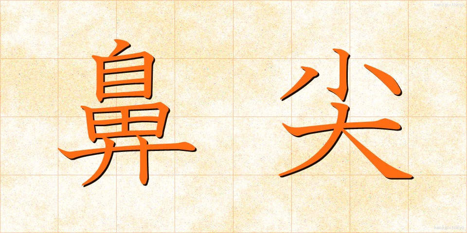 鼻尖 (びせん)