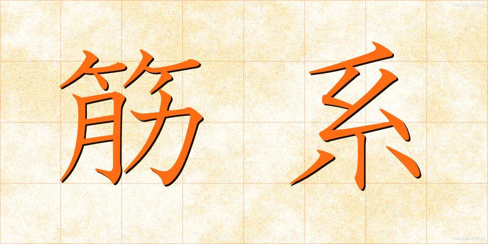 筋系 (きんけい)