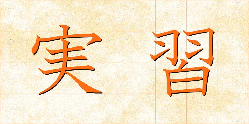 実習 (じっしゅう)