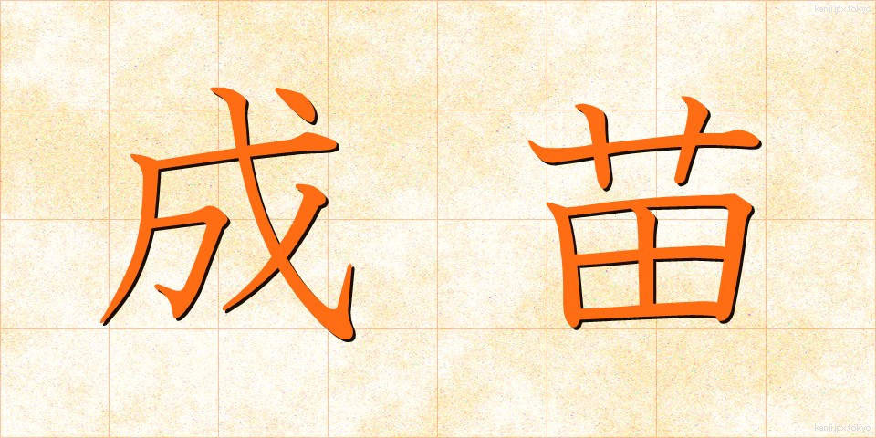 成苗 (せいなえ)