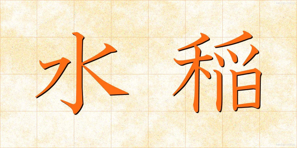 水稲 (すいとう)