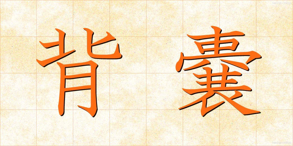 背嚢 (はいのう)