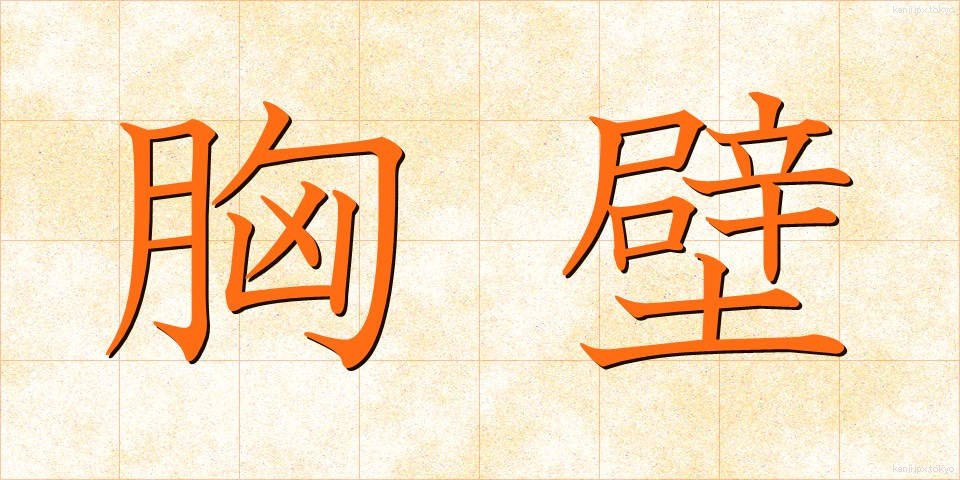 胸壁 (きょうへき)