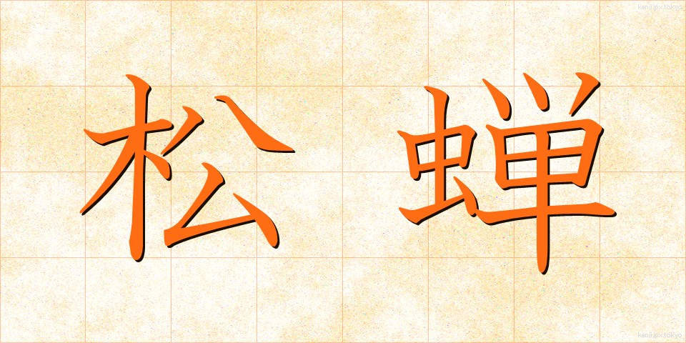 松蝉 (まつぜみ)