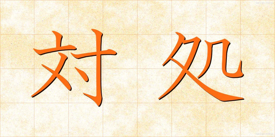 対処 (たいしょ)