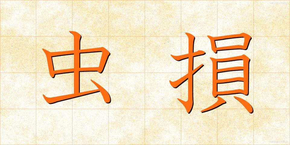 虫損 (むしそん)