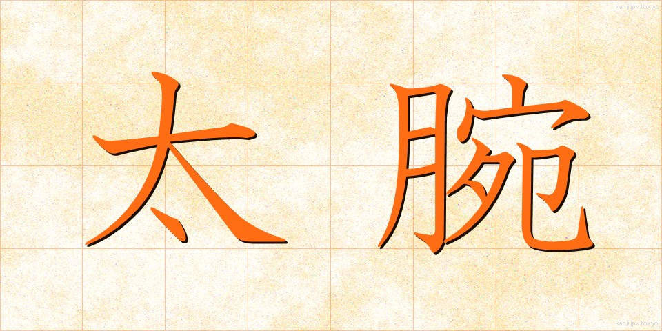 太腕 (ふとうで)