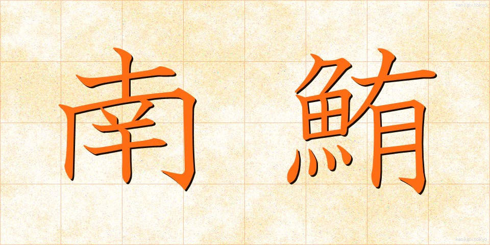 南鮪 (みなみまぐろ)