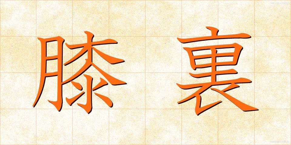 膝裏 (ひざうら)