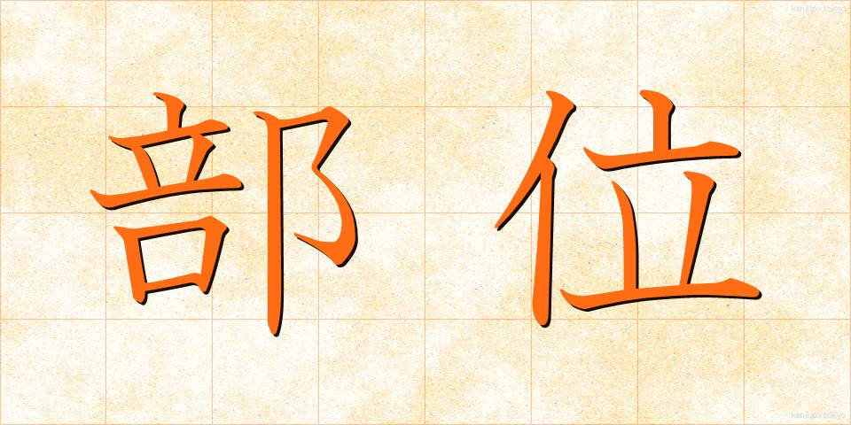部位 (ぶい)