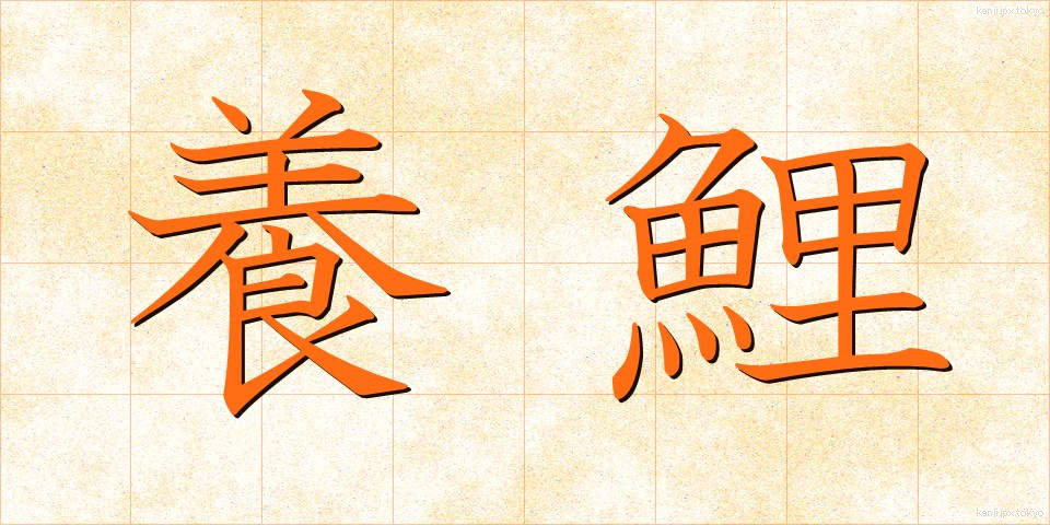 養鯉 (ようり)