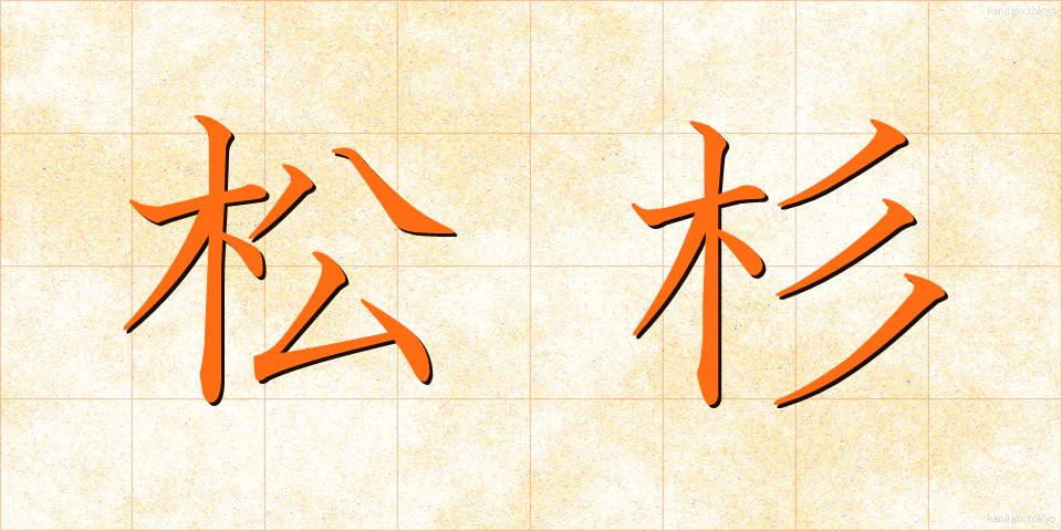 松杉 (まつすぎ)