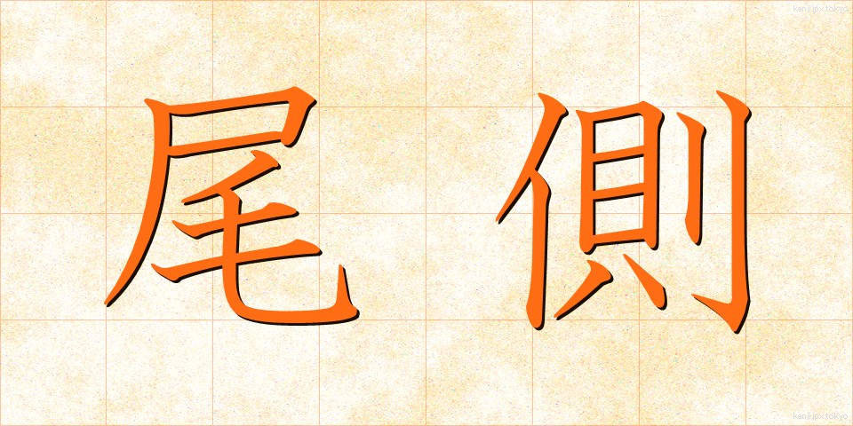 尾側 (びそく)