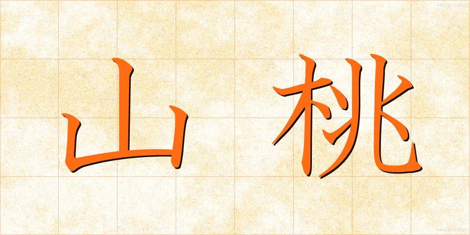 山桃 (やまもも)