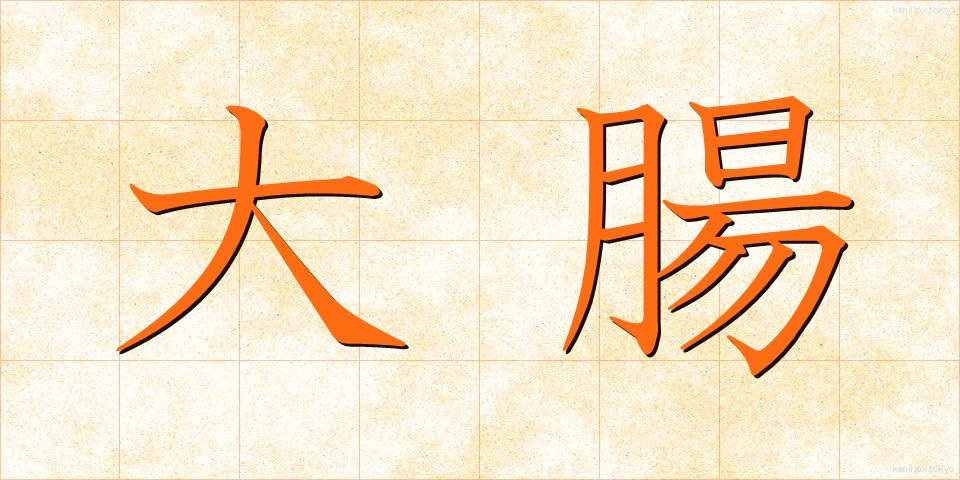 大腸 (だいちょう)