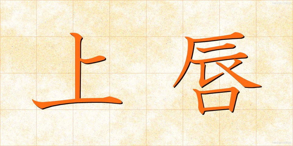 上唇 (じょうしん)