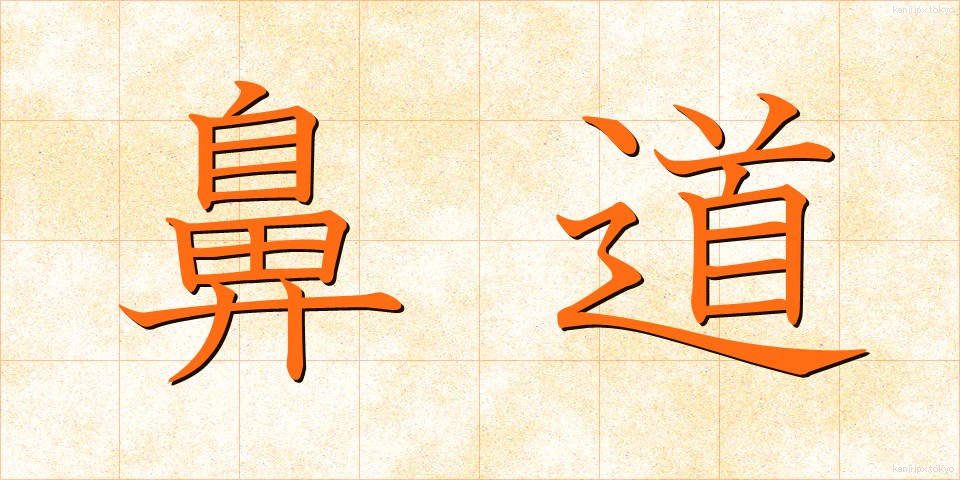 鼻道 (びどう)