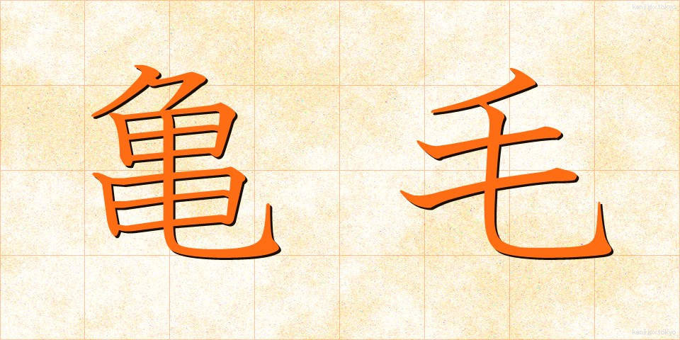 亀毛 (きもう)