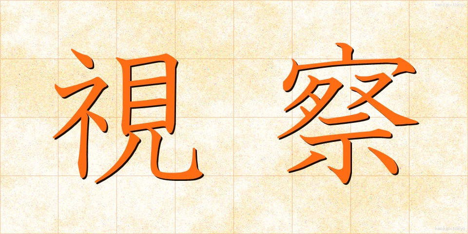 視察 (しさつ)