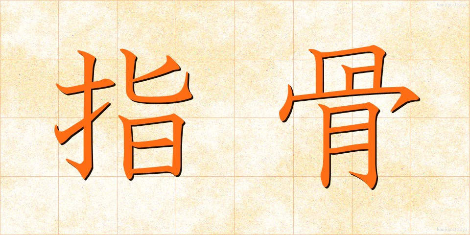 指骨 (しこつ)