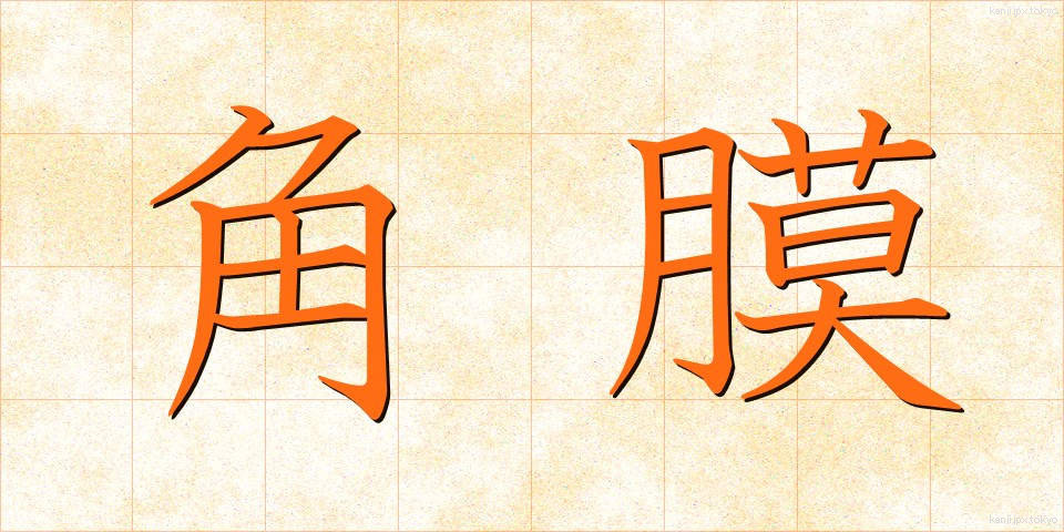 角膜 (かくまく)