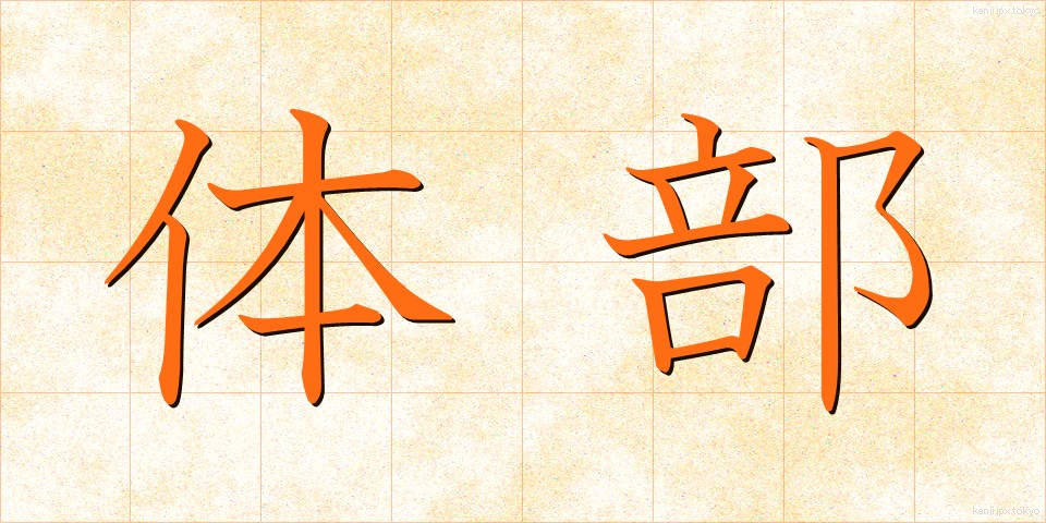 体部 (たいぶ)