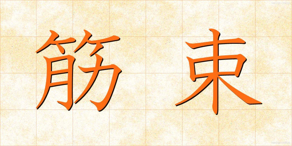 筋束 (きんそく)