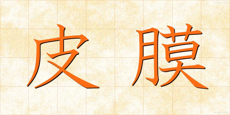 皮膜 (ひまく)