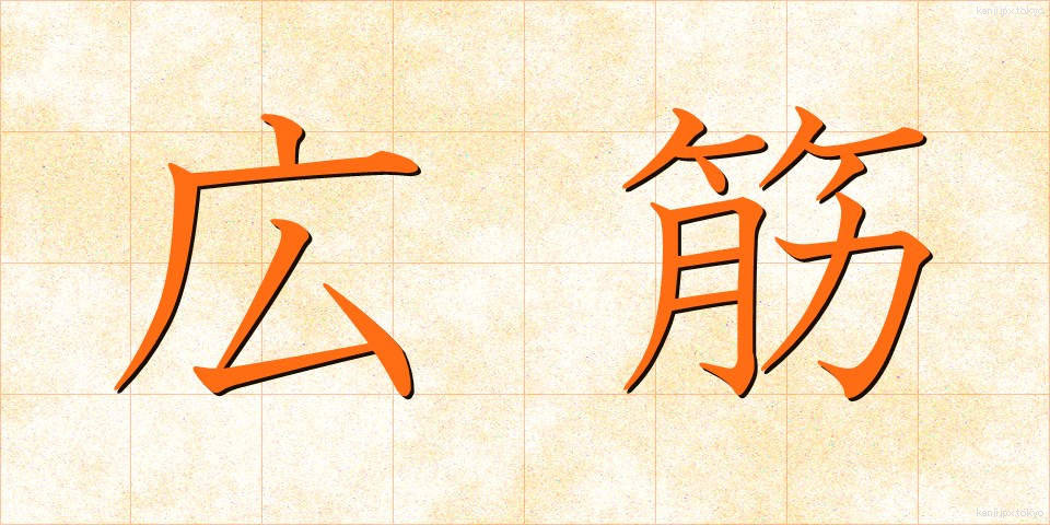 広筋 (こうきん)