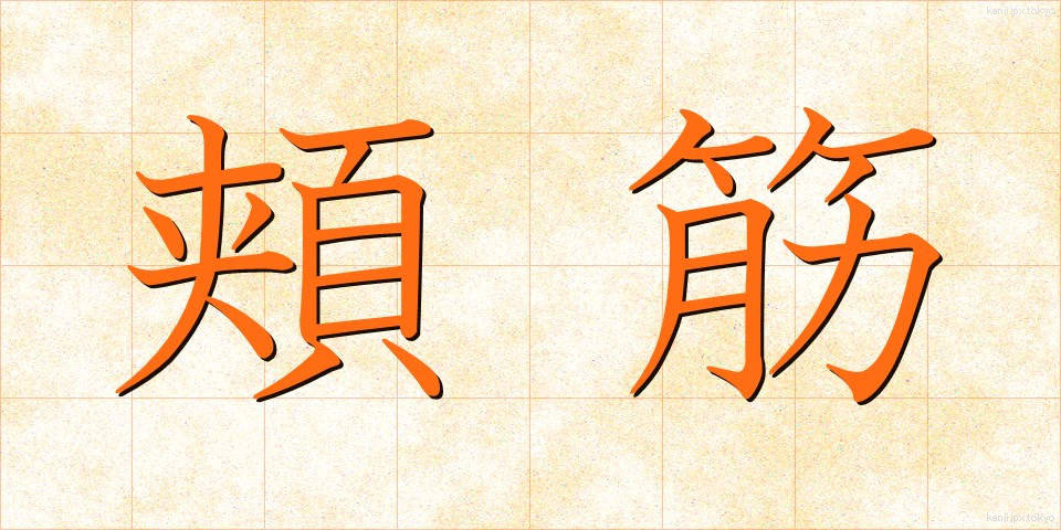 頬筋 (ほおきん)