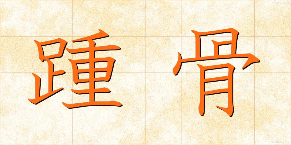 踵骨 (しょうこつ)