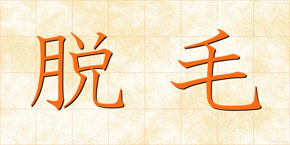 脱毛 (だつもう)
