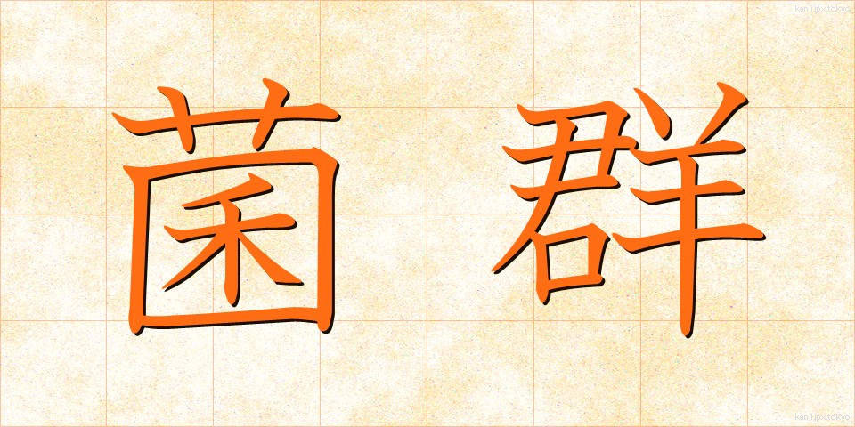 菌群 (きんぐん)