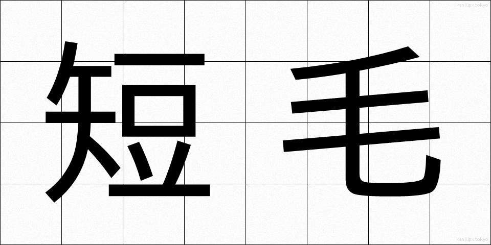 短毛 (たんもう)