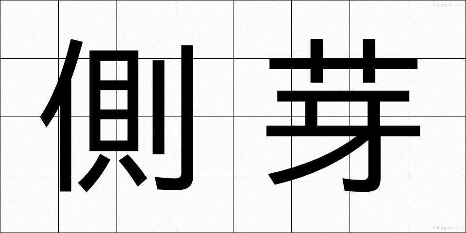 側芽 (そくが)