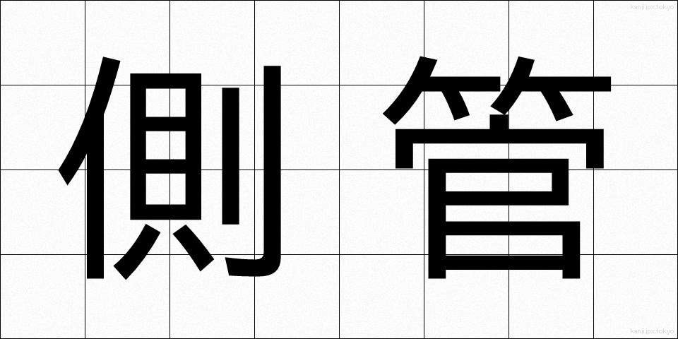 側管 (そくかん)