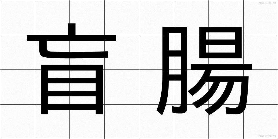 盲腸 (もうちょう)