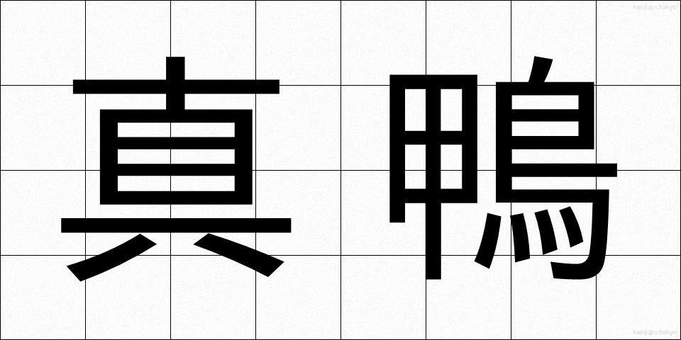 真鴨 (まがも)