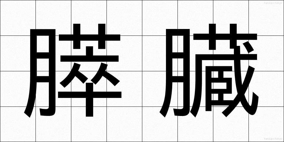 膵臓 (すいぞう)