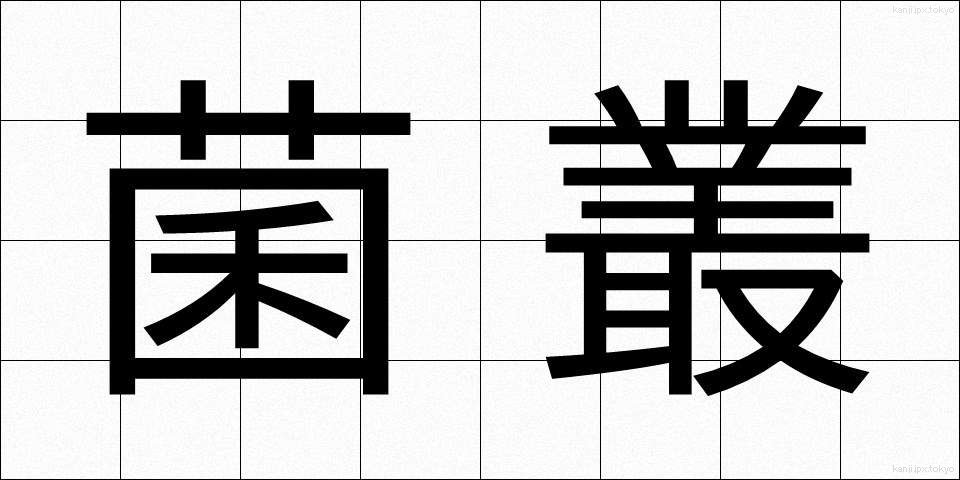 菌叢 (きんそう)