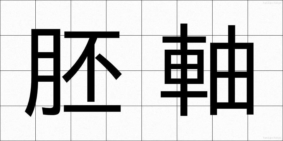 胚軸 (はいじく)