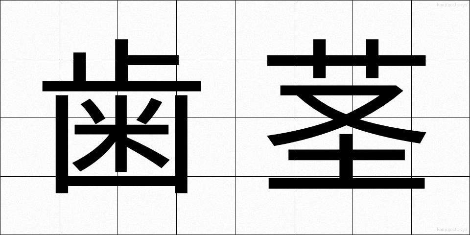 歯茎 (はぐき)