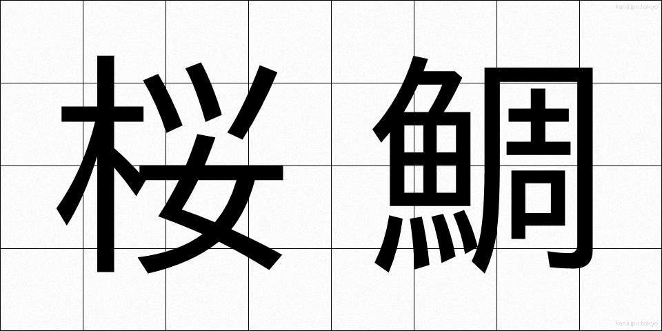 桜鯛 (さくらだい)
