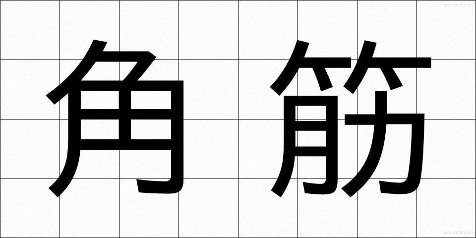 角筋 (かくすじ)